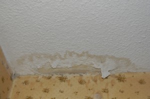 water damage inside house