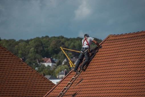 roof repair expert
